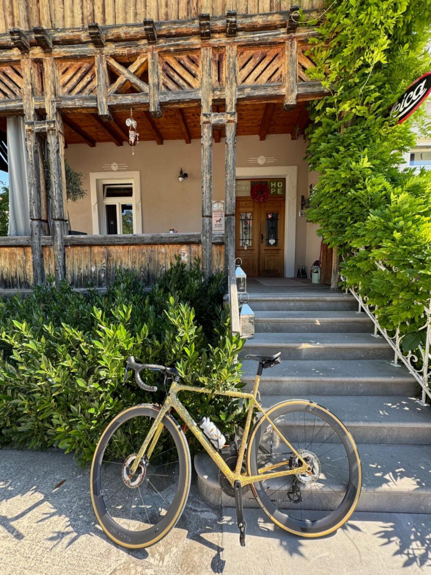 Vila Alice Bled - Adults Only Exterior foto